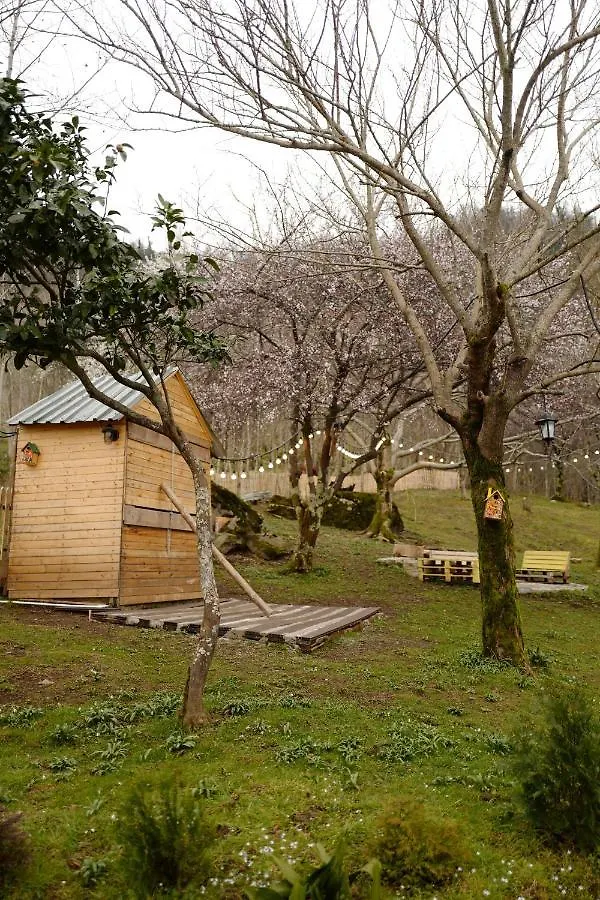 Limoncello Villa Batumi