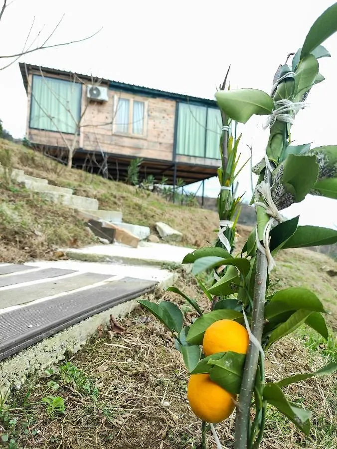 Villa Limoncello Batumi Georgien